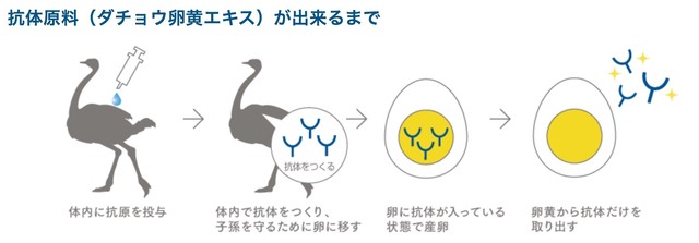 新型コロナウイルス Sars Cov 2 を不活性化し感染の抑制を目的とするダチョウ抗体 配合スプレー 多様性ミスト V Block Spray 50ml 詰め替え用瓶タイプ ペットセーバー ショッピング