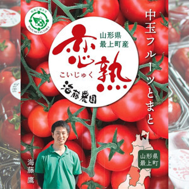 【ギフト9月中旬まで】 海藤農園 恋熟とまと