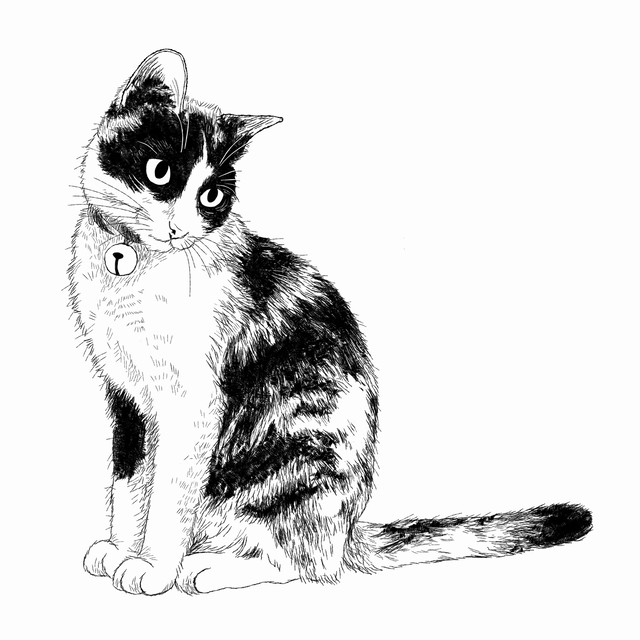 猫の手描きイラスト 似顔絵 白黒 作成 全身 動物 人間可 猫雑貨 グッズ通販 猫や動物イラスト 似顔絵作成 365cat Art