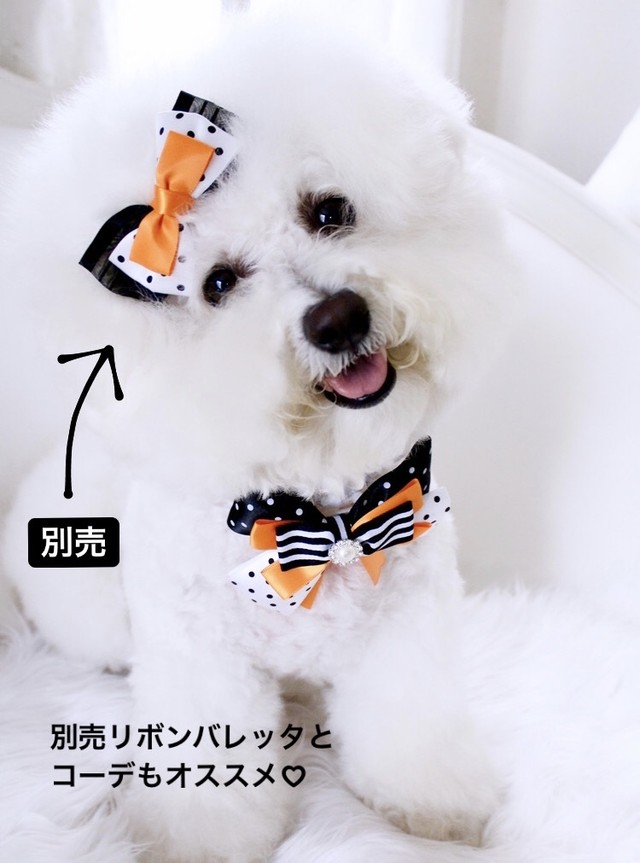 再入荷 犬用 ハロウィンリボンチョーカー Happy Bridge