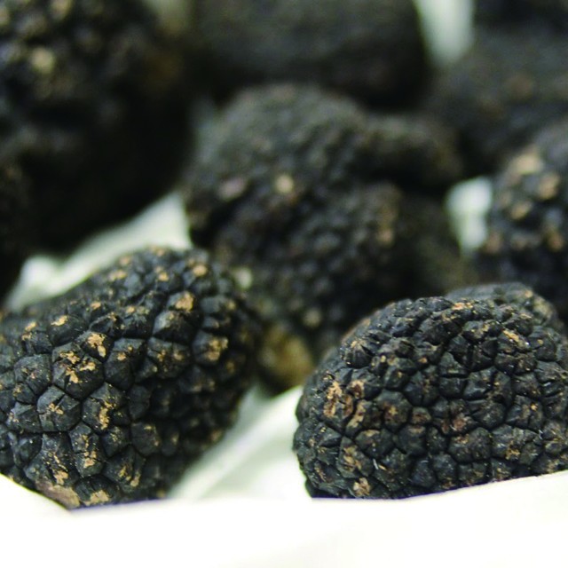 黒トリュフマッシュルームディップ９０ｇ Fresh Truffle Japan