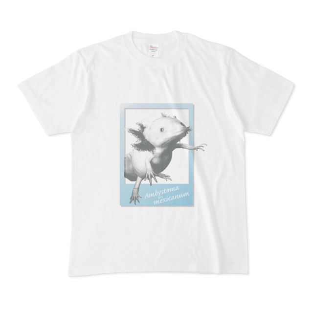 ウーパールーパー Tシャツ 水色 グレー 大人 メンズ 熱帯魚 送料込み 熱帯魚 ウーパールーパーモチーフ雑貨のfruit Parfait