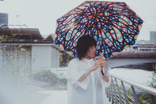 薔薇窓傘 アミアン大聖堂 Rose Window Umbrella Of Cathedral Basilica Of Our Lady Of Amiens 薔薇窓傘 Rose Window Umbrella