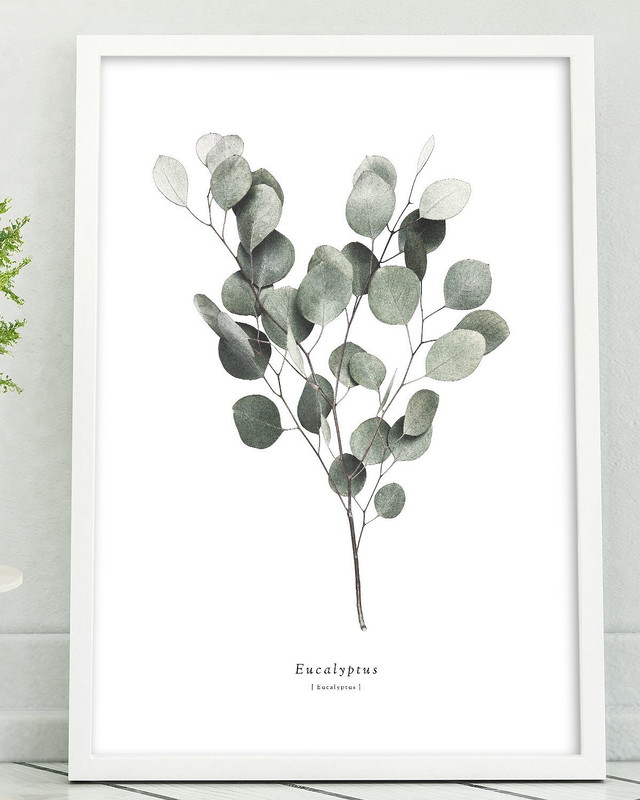 Botanical ボタニカル Eitribro エイトリブロ Online Shop 北欧インテリアのポスター通販専門店