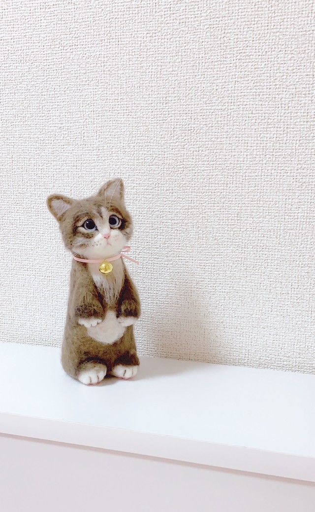 たっちポーズの子猫ちゃん マンチカン ラグドール ミヌエット 短足 猫 羊毛フェルト Cotton Fuwari