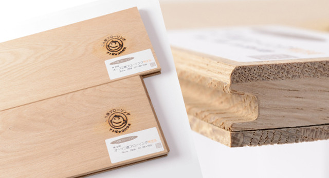 漆喰風塗り壁 漆喰美人 夕顔 アトピッコハウスのオンラインショップ