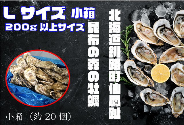 昆布の森の牡蠣『北海道仙鳳趾産 殻付き牡蠣』Lサイズ(200g以上/個) 小箱(約20個)