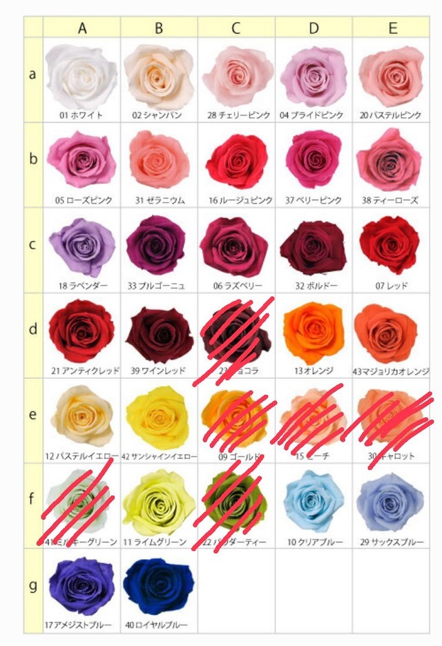 薔薇のお色変更可能 春ミモザとカラーと薔薇のコサージュ Dream Of Rose