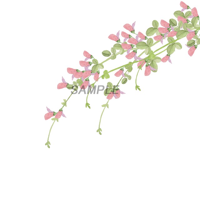 萩の花jpg イラスト素材屋