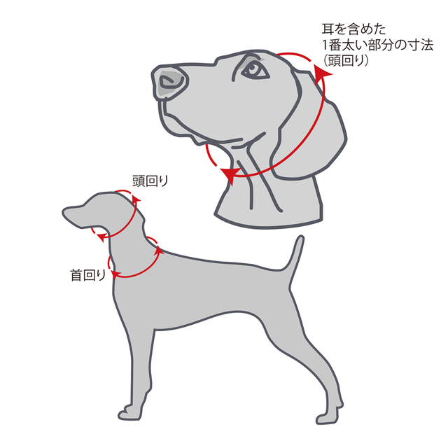 テルツォ5 チェーンチョーカー Grayghost Enthusiast