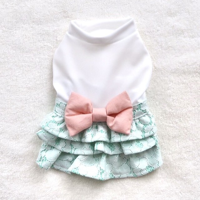 ゴッドピバ クールガーリーレースワンピ Mint 犬服 ドッグウェア 犬ウェア かわいい犬服 Dog Dog Select Shop Ange ドッグセレクトショップアンジュ ゴッドピバ クールガーリーレースワンピ Mint 犬服 ドッグウェア 犬ウェア かわいい犬服 Dog Dog Select Shop Ange ドッグセレクトショップアンジュ