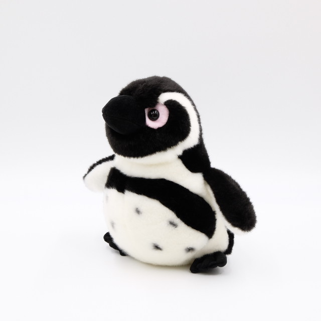 ぬいぐるみ ケープペンギン