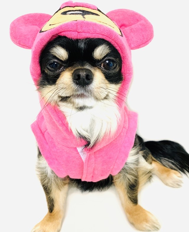 Smillbear Hoodbest Pink 犬服 人気 犬の服 おしゃれ ドッグウェア 小型犬 犬服ブランド Chicc ドッグウェアブランド