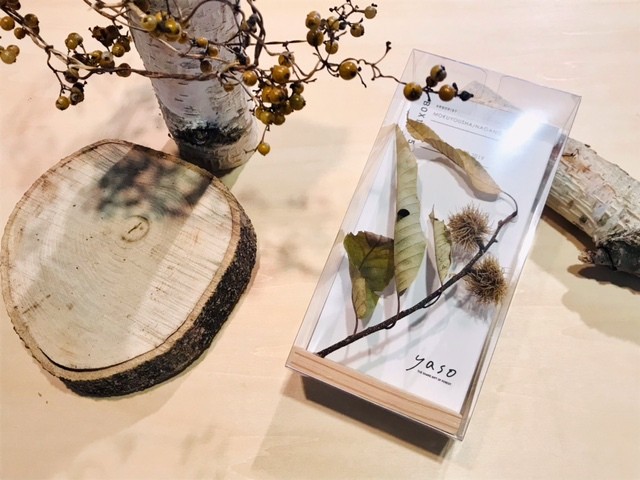 yasobox 植物見本 「クリ」