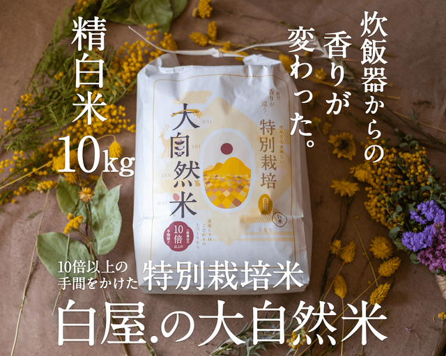大自然米【10kg】精白米