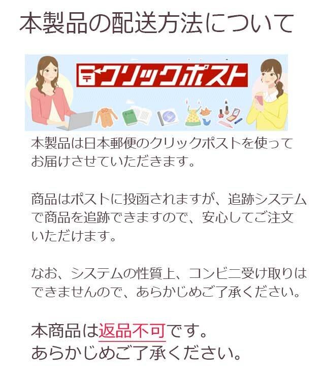 マスクケース 送料無料 マスクキーパー 持ち運び 在庫あり おしゃれ 折り畳み コンパクト 清潔 使い捨てマスクの保管 シンプル ポケット収納 Archeselect