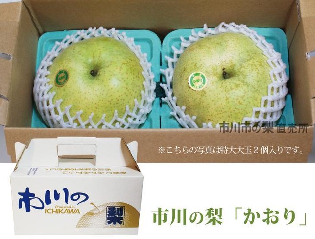 8,640円かおり梨 規格外品25kg 詰玉 新潟県産
