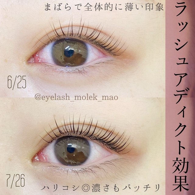まつ毛がぐんぐん伸びる マツエク要らず ラッシュアディクトアイラッシュセラム For ホームケア Echelle Cosme
