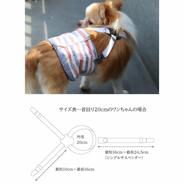 犬 サスペンダー 小型犬用 日本製 可愛いパッケージ Nomura Nomurabelt