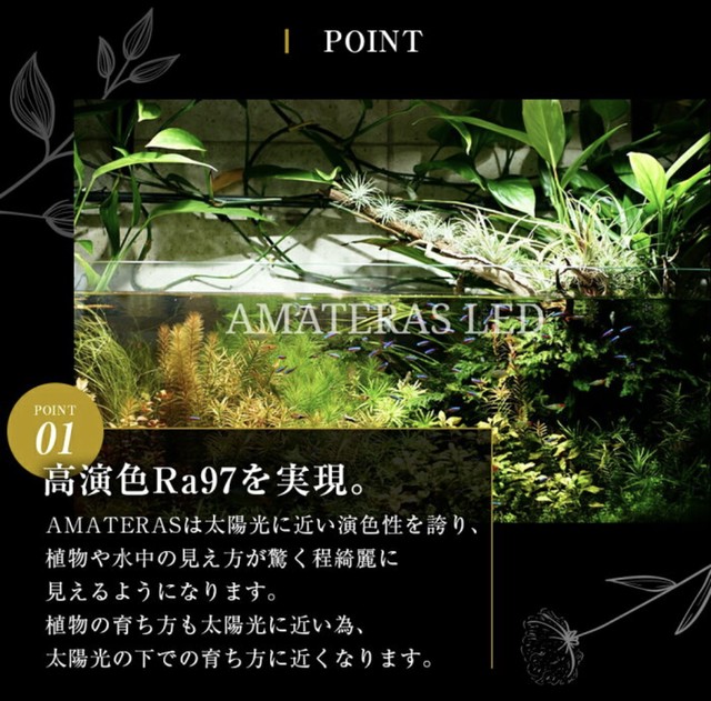 Amateras Led w 植物育成ライト Stella Plantsステラプランツ