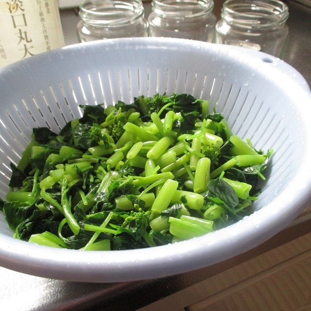 花わさび1 農家の醤油漬レシピ付き 北村わさび