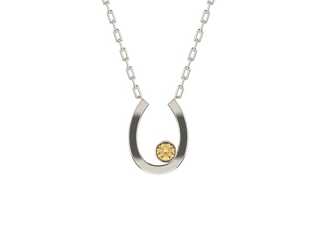 PT900 Necklace