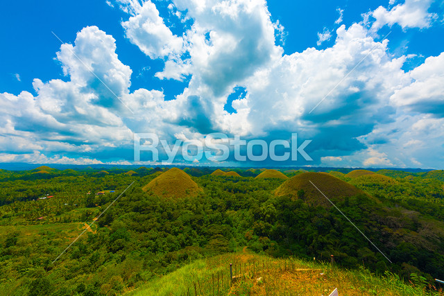フィリピン セブ ボホール島 チョコレートヒルズ 丘 の写真素材です Philippines Photo Ryostock デジタルコンテンツ販売