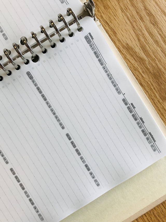 英単語 英文法 反復学習記憶定着ノート リフィル１年分 Mnemonic Note B5 6mm 8lines 英単語 英文法用記憶管理学習 ノート 日付入の復習管理で記憶定着