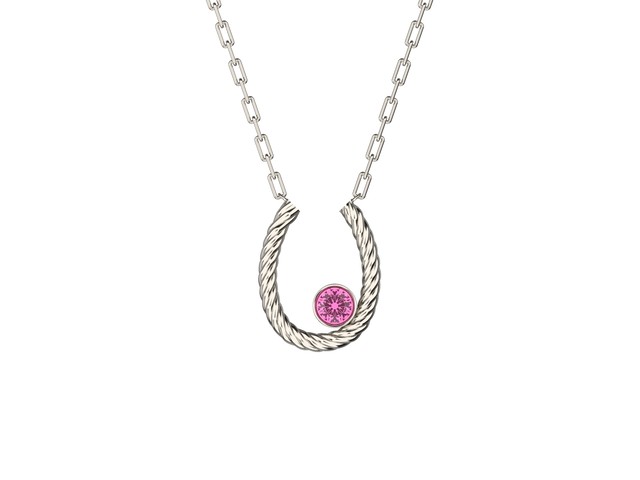 PT900 Necklace