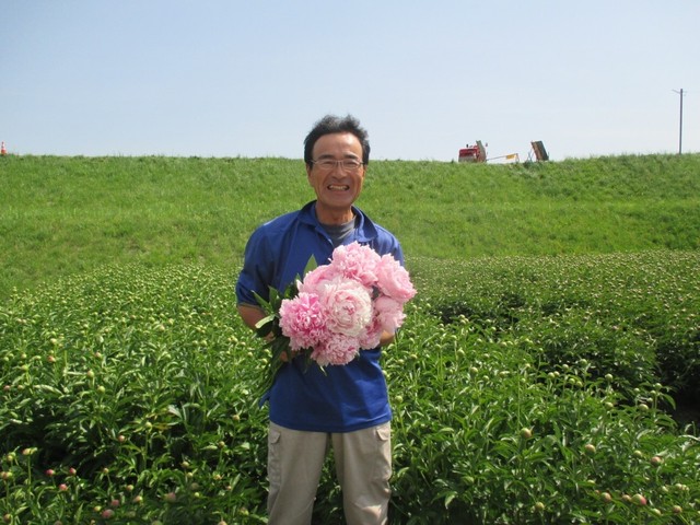 今年も販売します 色々品種50本 産地直接依頼商品 芍薬 ピンク系mix 先行予約受付中 Jp Farmers Com 今年も販売します 色々品種50本 産地直接依頼商品 芍薬 ピンク系mix 先行予約受付中 Jp Farmers Com