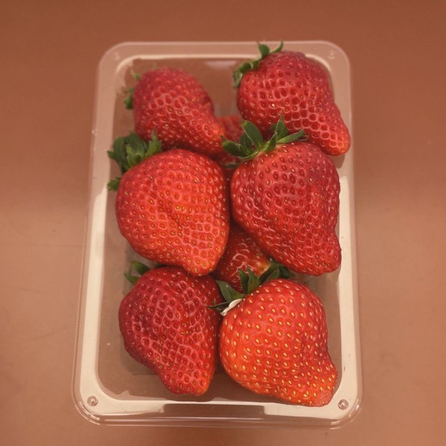 【販売終了】元気あっぷむら / とちおとめ 4パック