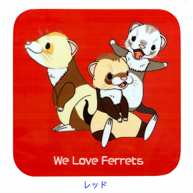僕たちフェレット可愛い仲間