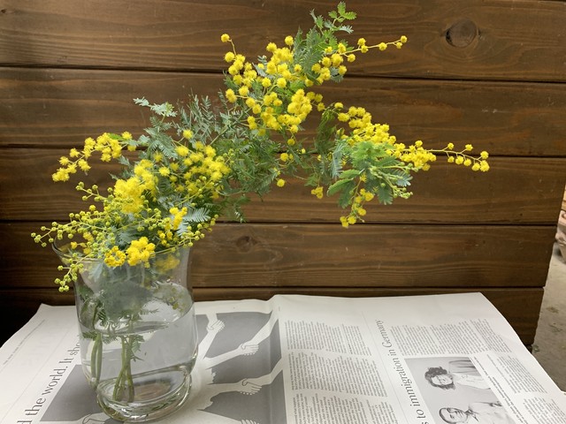 花瓶とミモザ 良い香りがお部屋に広がります Marcam