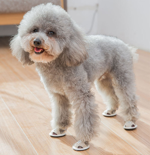 送料無料 犬の靴 サンダル ストライプ柄 星 マジックテープ ドッグシューズ ペット用品 愛犬の足を保護してくれるおしゃれなドッグシューズ Nextcase
