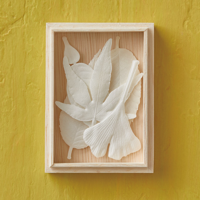 秋 Autumn HA KO 5枚 箱入り