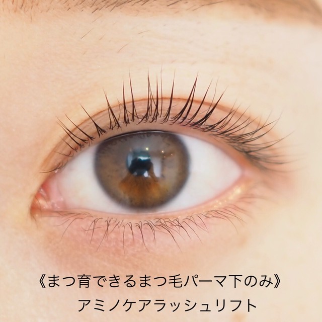 4950円 4450円 まつ育できるまつ毛パーマ下のみ アミノケアラッシュリフト Nina