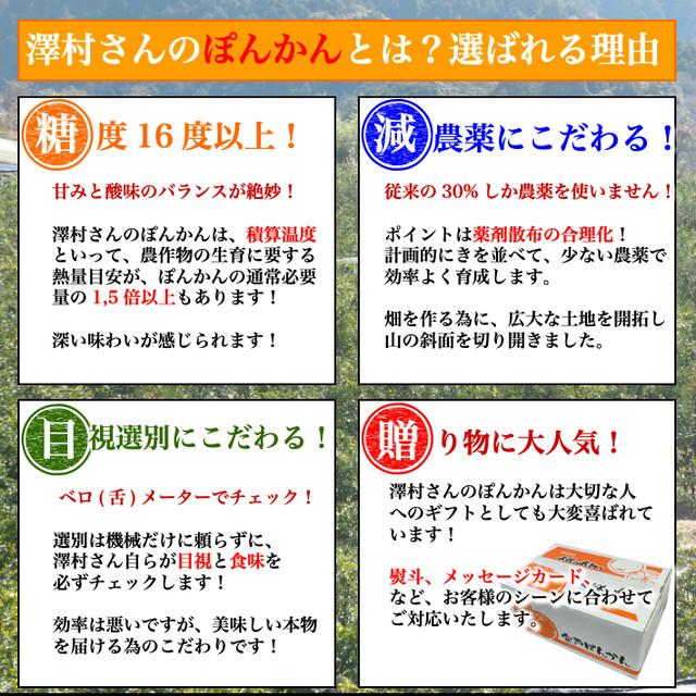 減農薬 ぽんかん 約3kg 贈答 家庭用 優品 大玉2l L 糖度16度 高知県 室戸産 澤村さんの完熟ポンカン 送料無料 土佐カツオとうなぎの通販 高知の旬をお届けする 池澤鮮魚オンラインショップ