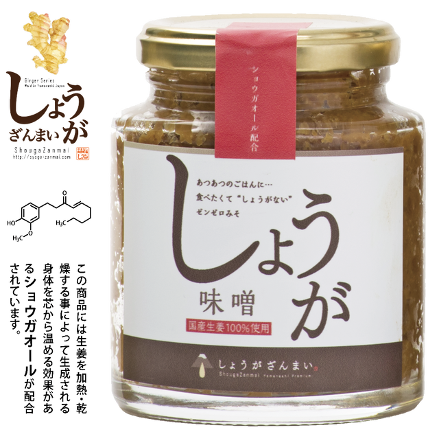 南部 食べる生姜味噌 230g 山梨県産生姜 甲州味噌使用 しょうがざんまい
