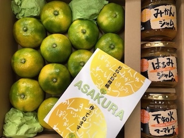 おためし早生みかん１キロと３種のジャムセット 柑味処 朝倉農園