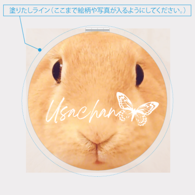 うさぎのうさちゃん スライドカードミラー ﾟ シールペタペタ風 Usagi No Usachan