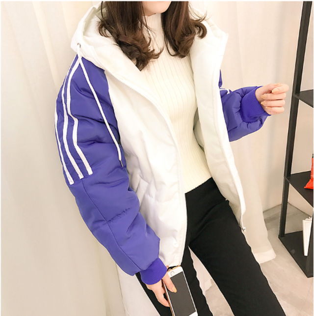 マウンテンパーカー レディース ウィンドブレーカー ライン 中綿 キルティング カジュアル 春 ライン スポーツ 冬 オルチャン Rightsight