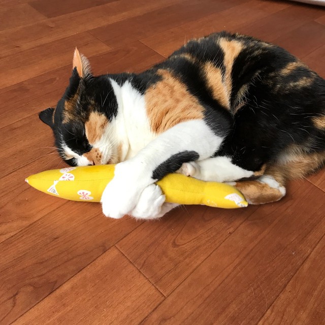猫のおもちゃ マタタビ入 お魚けりけり 蹴りぐるみ 北欧 ちょうちょ柄 ブルー 猫グッズの Nyanx Store