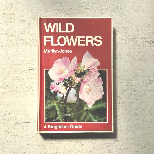 野生の花のイラスト図鑑 Wild Flowers Folklora