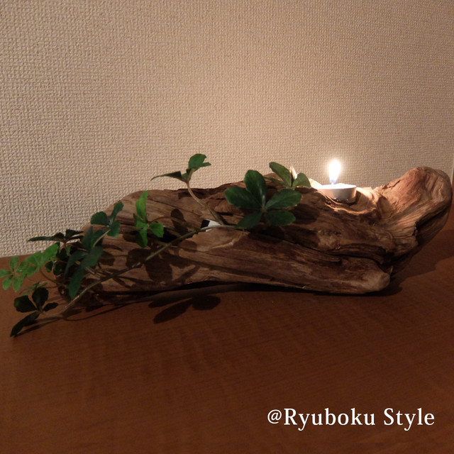 スタンド35cm Sd0003流木のキャンドルホルダー 小物１個とキャンドル３個セット インテリア オブジェランプ照明 流木販売 流木の宝庫 流木 専門店 流木スタイル