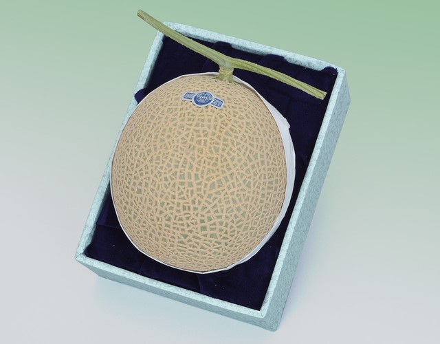 静岡産 クラウンマスクメロン【1玉約1.2kg】 〔送料無料 メロン 贈答用〕