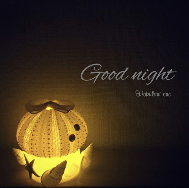 再販 うにランプ キット Hokulani One