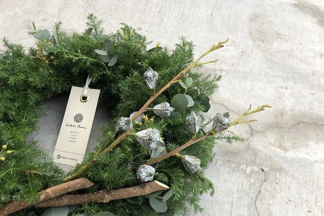 Chamaecyparis pisifera #01