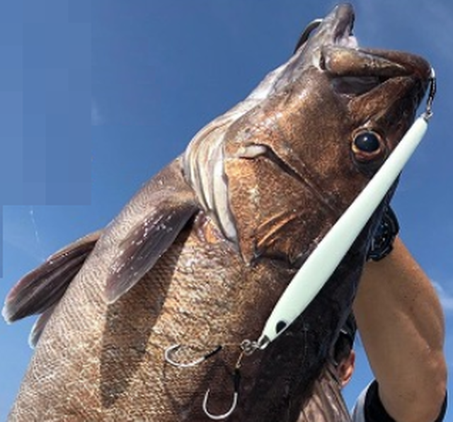 ゴラッソロング225g グローなし Nabura釣具