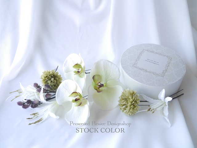 コチョウランとピンポンマムのヘッドドレス 髪飾り 結婚式 成人式 和装に Stockcolor