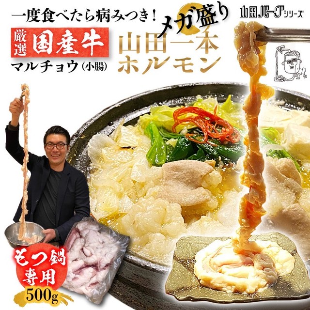もつ鍋専用_山田1本ホルモン500g(国産牛ホルモン)